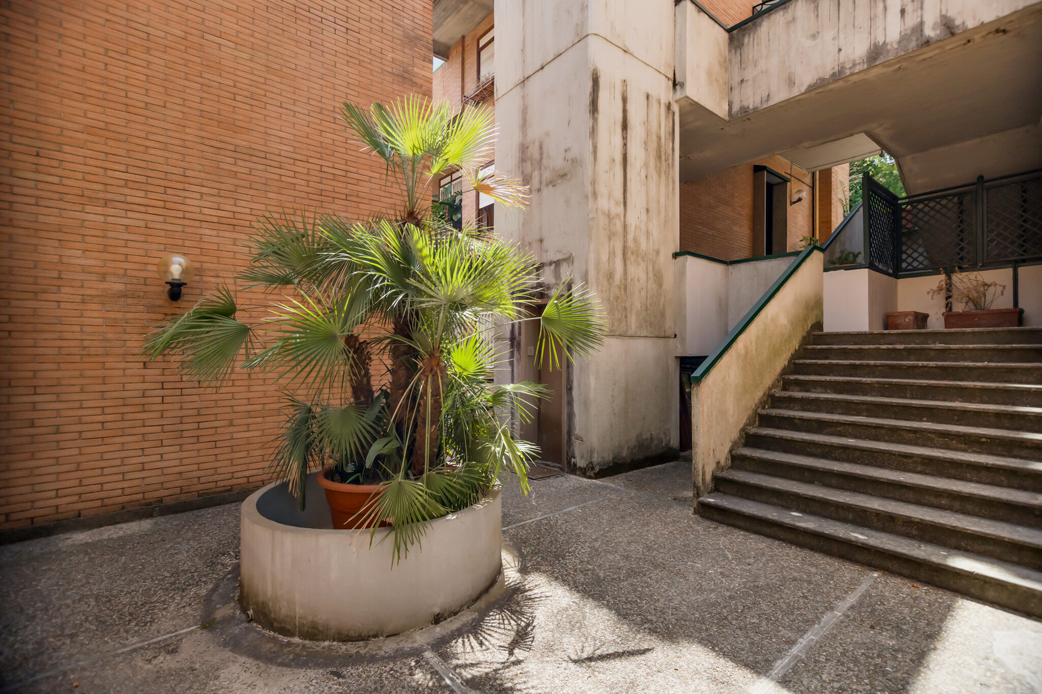 _MG_3089 copia
