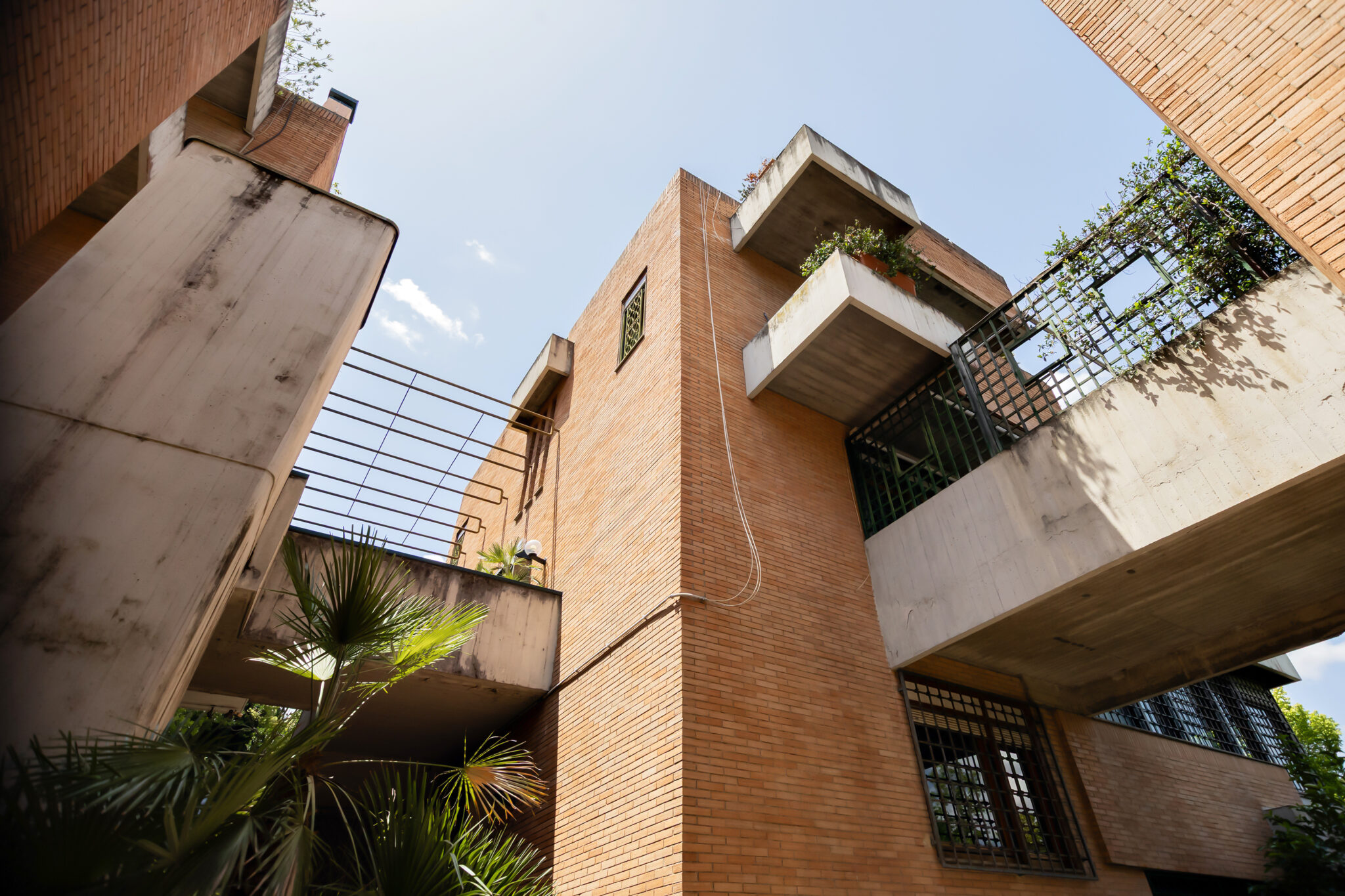 _MG_3091 copia
